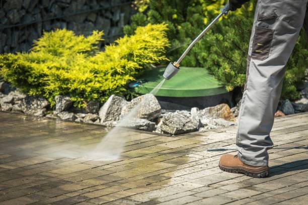Best Sidewalk and Walkway Cleaning  in Lumber City, GA